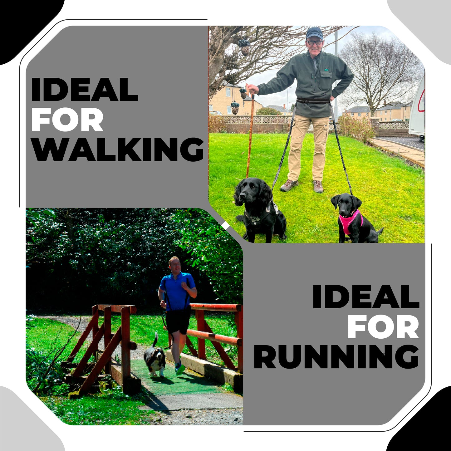 Athletic Hands Free Dog Lead - Running Dog Lead with Waist Belt - 2 Dogs Black