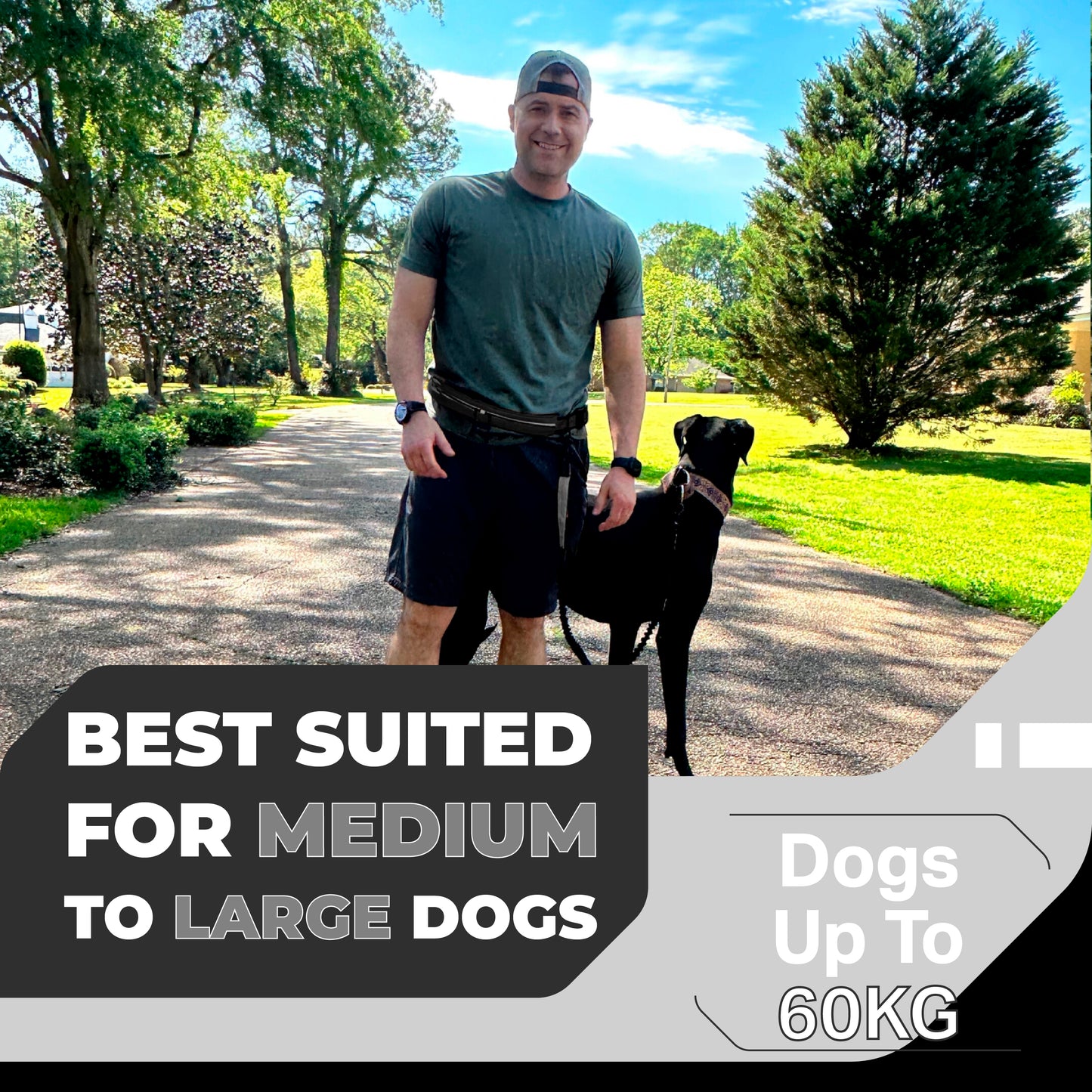 Athletic Hands Free Dog Lead - Running Dog Lead with Waist Belt - 1 Dog Black