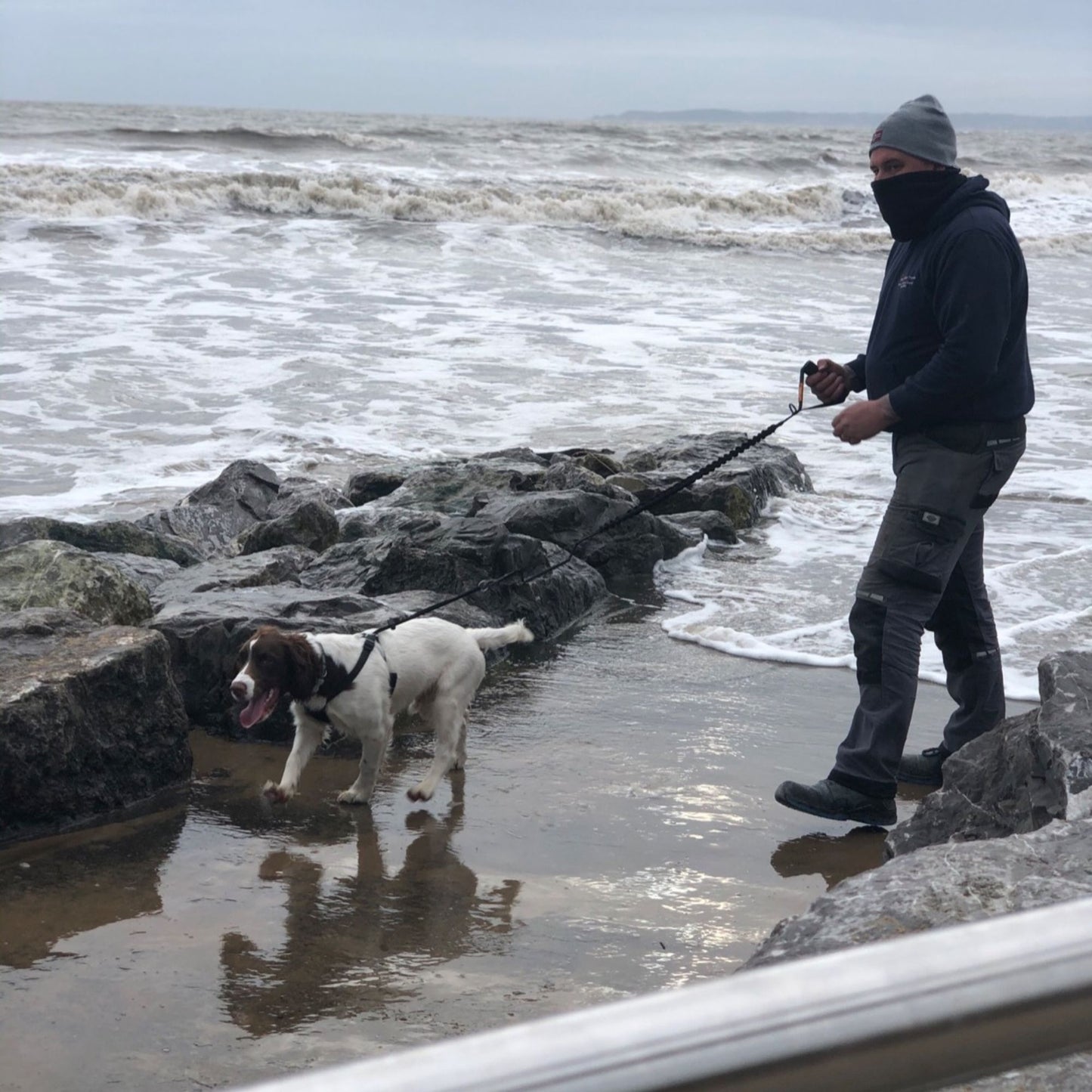 Premium Anti Pull Dog Lead - Strong Dog Leads for Large Dogs - No Pull Bungee Dog Lead