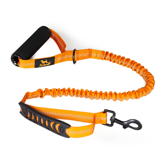 Premium Anti Pull Dog Lead - Strong Dog Leads for Large Dogs - No Pull Bungee Dog Lead
