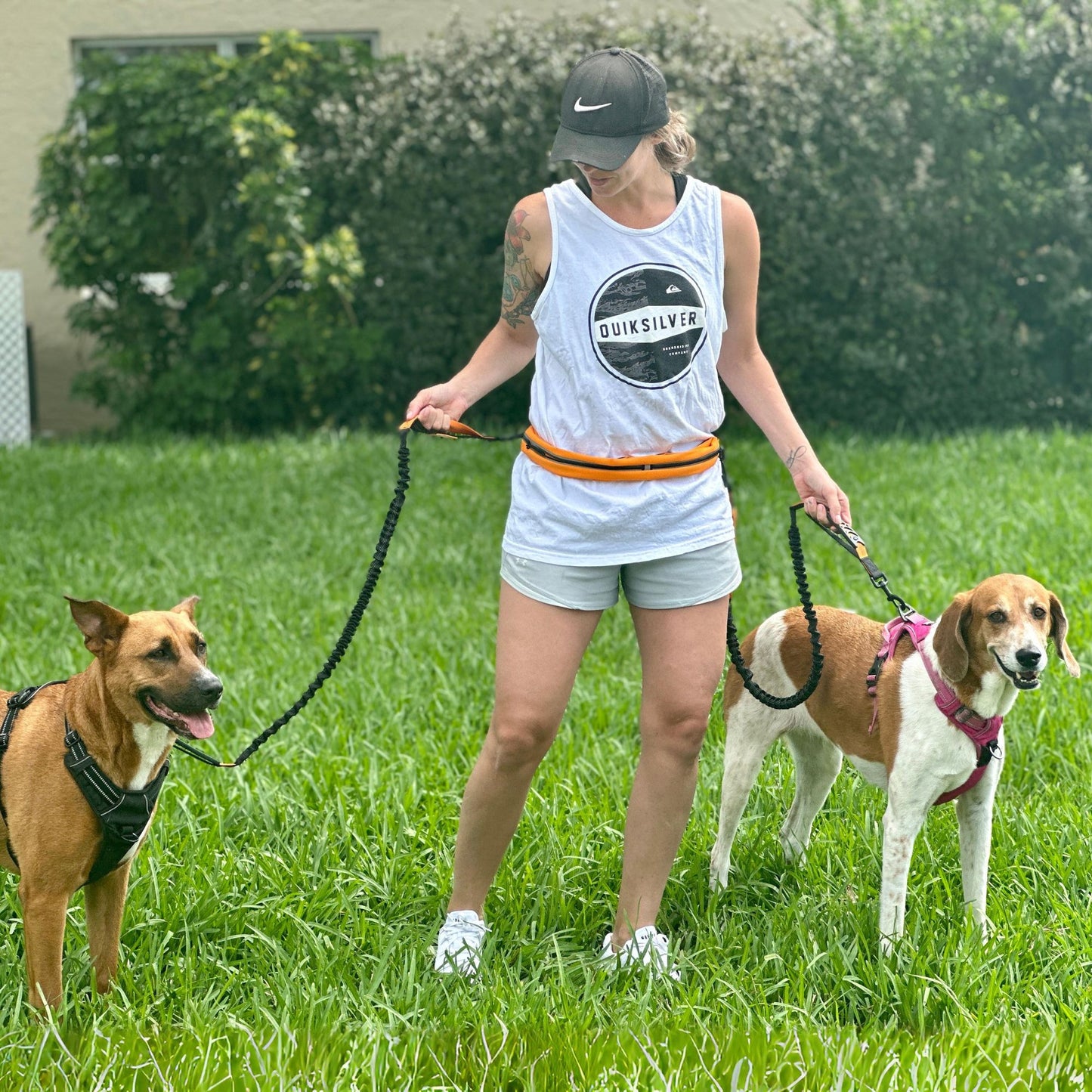 Athletic Hands Free Dog Lead - Running Dog Lead with Waist Belt - 2 Dogs